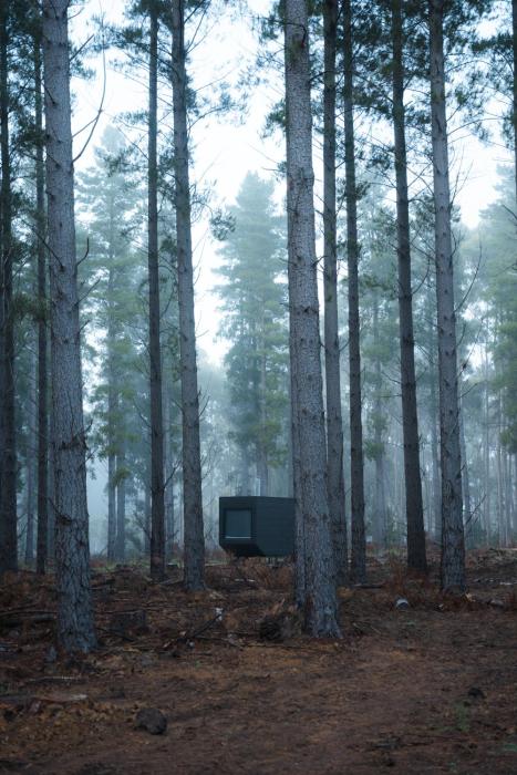 cabn kuitpo forest