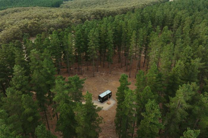 cabn kuitpo forest