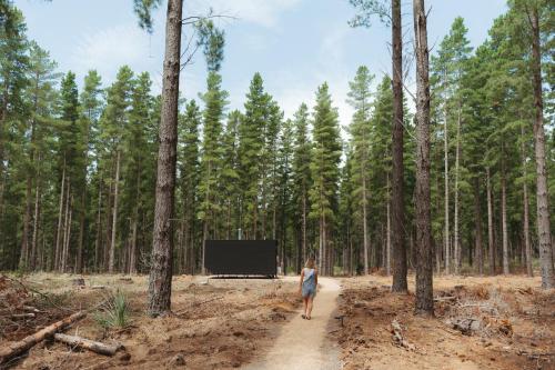 cabn kuitpo forest