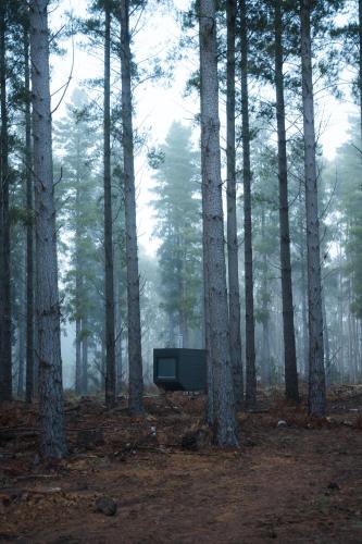 cabn kuitpo forest