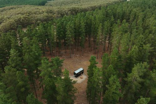 cabn kuitpo forest