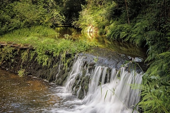 beandsee in river