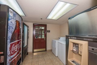 red roof inn and suites stafford va