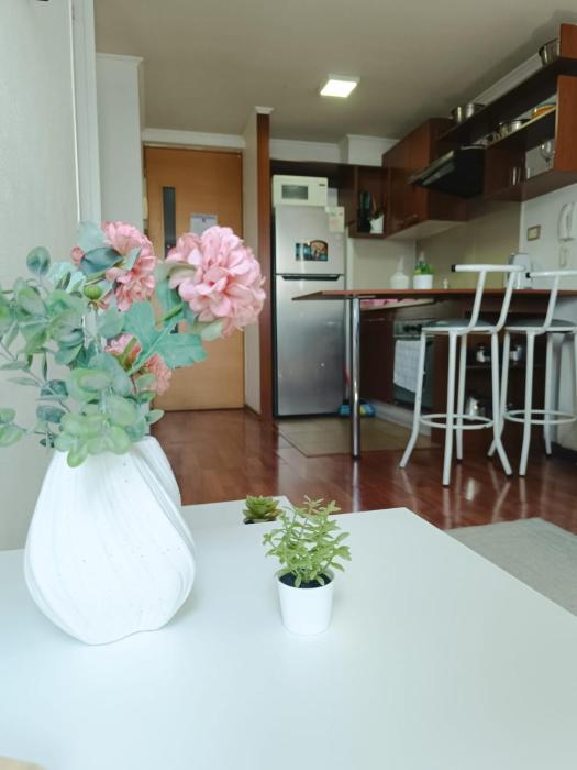 home bulnes