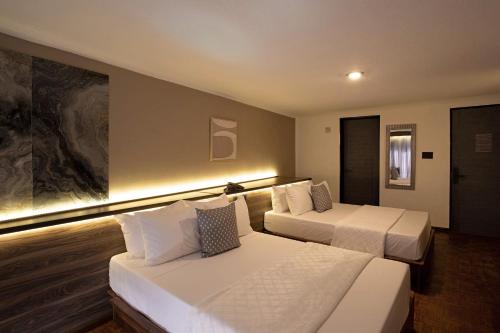 hotel miranthia cuernavaca adults only