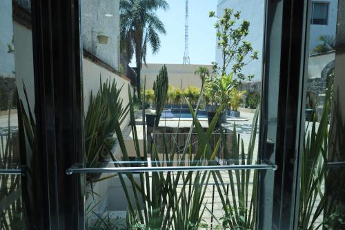 hotel miranthia cuernavaca adults only