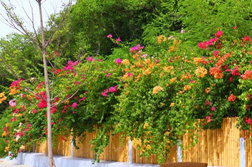 ta yai beach resort