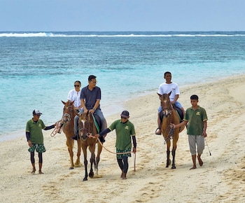 arya sumba