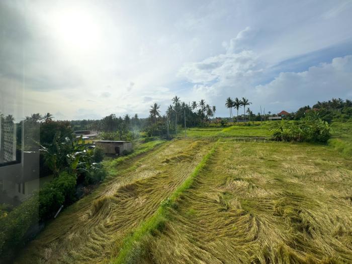 koeluma bali