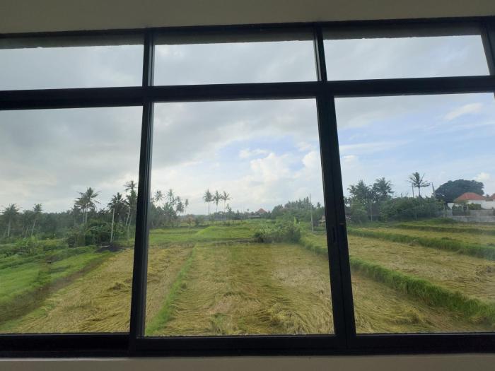 koeluma bali