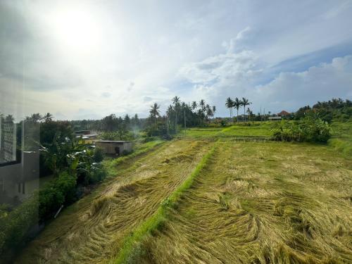 koeluma bali