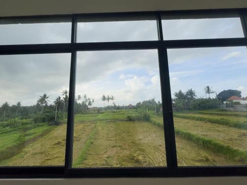 koeluma bali