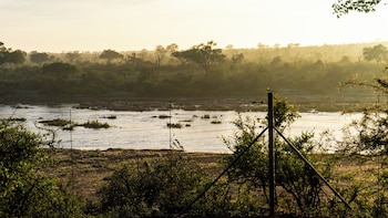 vida nova kruger