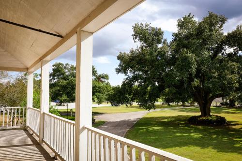 ormond manor