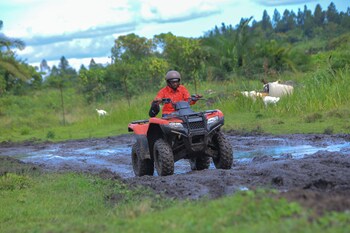 extreme adventure park