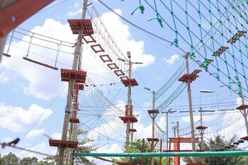 extreme adventure park