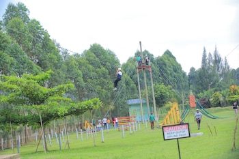 extreme adventure park
