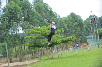 extreme adventure park