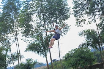 extreme adventure park