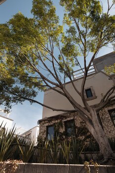 trobbu boutique collection san miguel de allende all inclusive