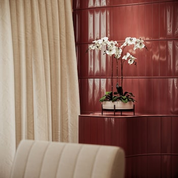 trobbu boutique collection san miguel de allende all inclusive