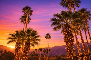 palm desert