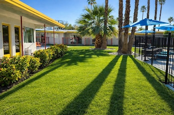 palm desert