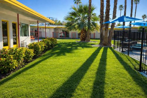 palm desert