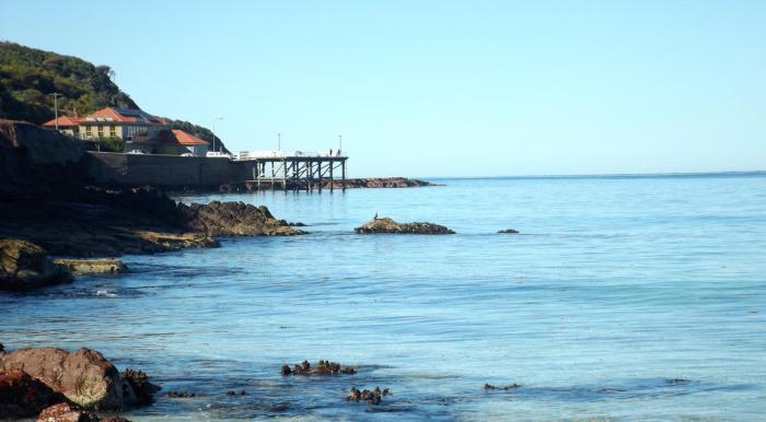 surfside holiday apartments