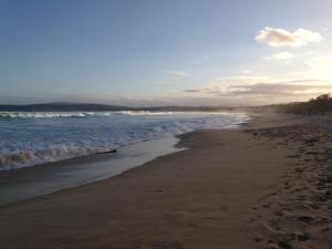 surfside holiday apartments