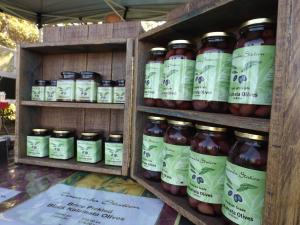 surfside holiday apartments