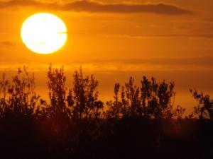 surfside holiday apartments