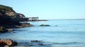 surfside holiday apartments