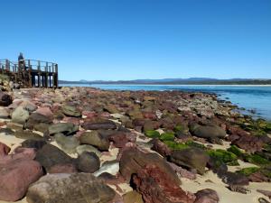 surfside holiday apartments