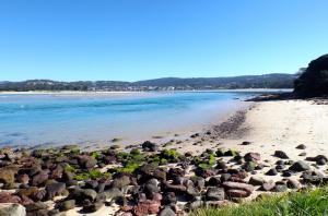 surfside holiday apartments