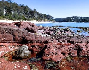 surfside holiday apartments