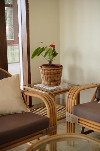 balcone lodge