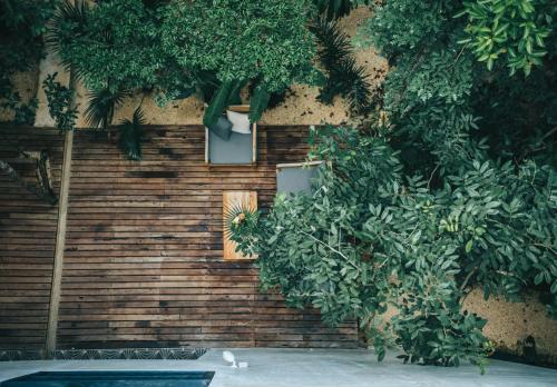 yum kaax boutique villa