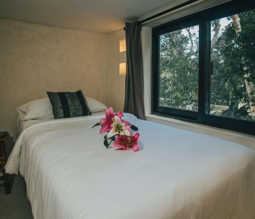 yum kaax boutique villa