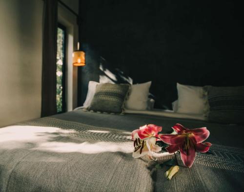 yum kaax boutique villa