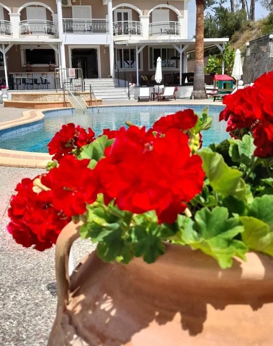 armonia hotel by zante plaza