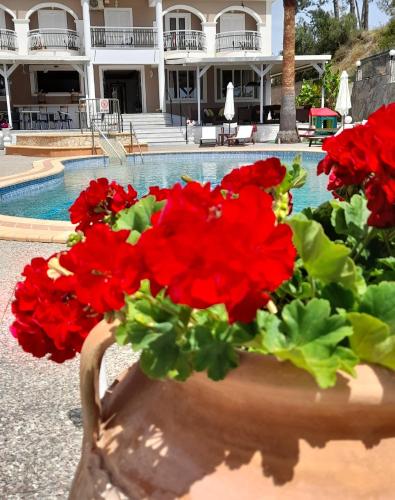 armonia hotel by zante plaza