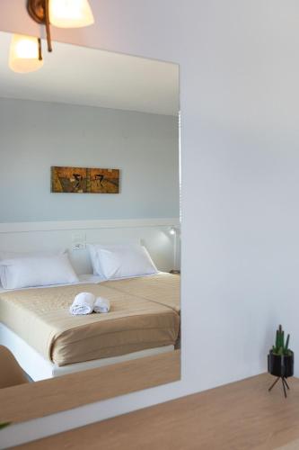 armonia hotel by zante plaza