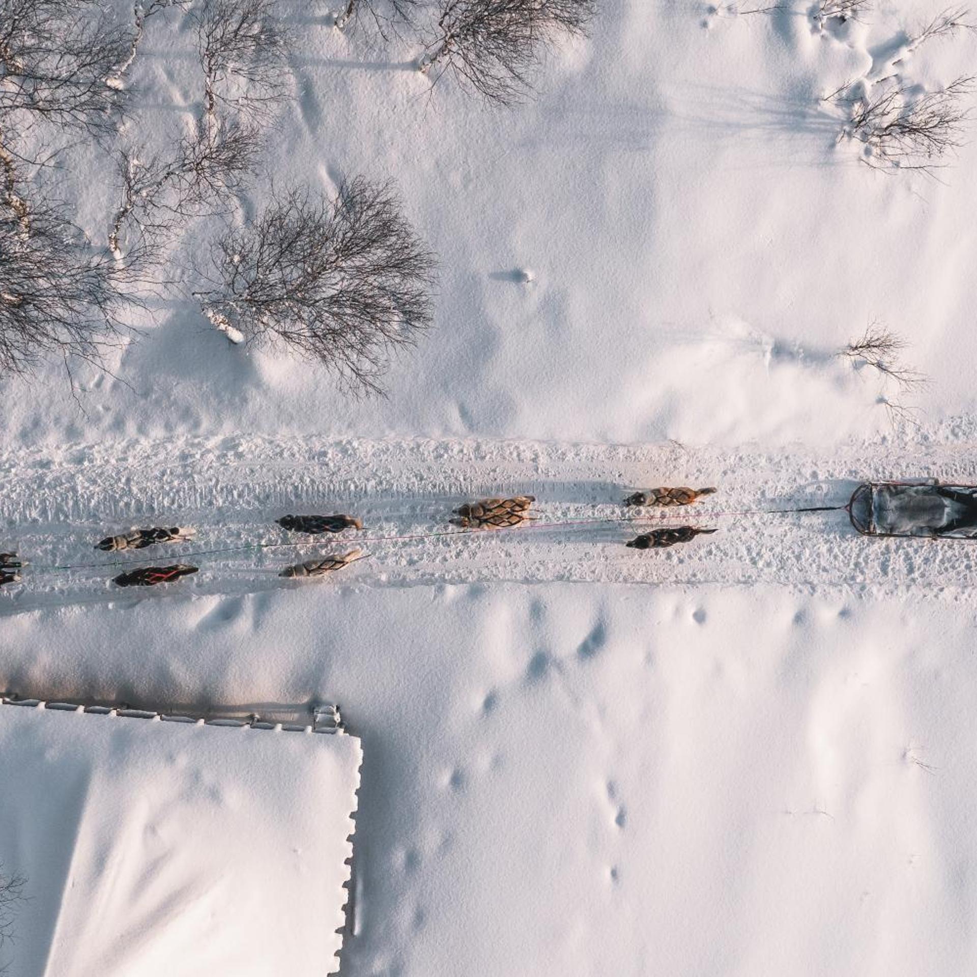 rovaniemi