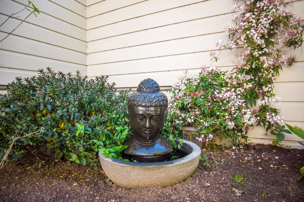 buena vista motor inn