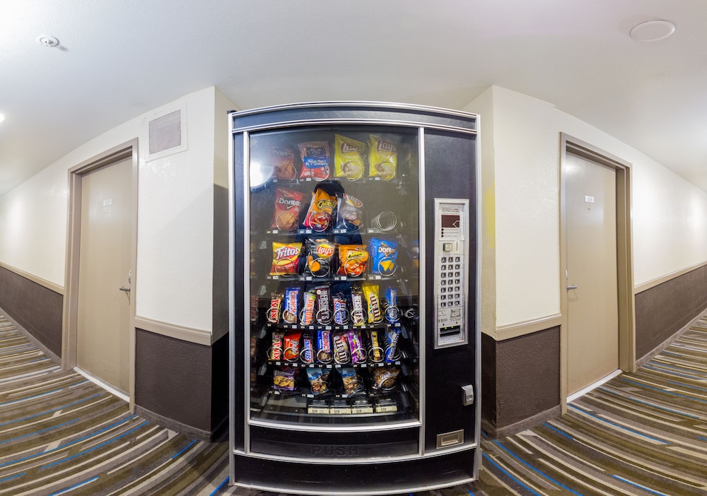 buena vista motor inn