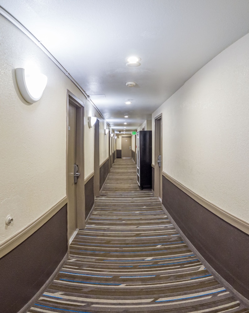 buena vista motor inn