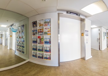 buena vista motor inn