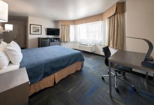 buena vista motor inn