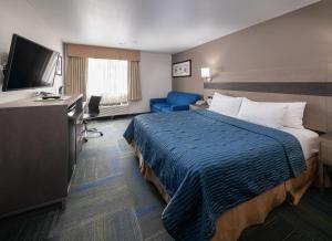 buena vista motor inn